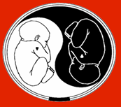 Fetus Yin-Yang Symbol